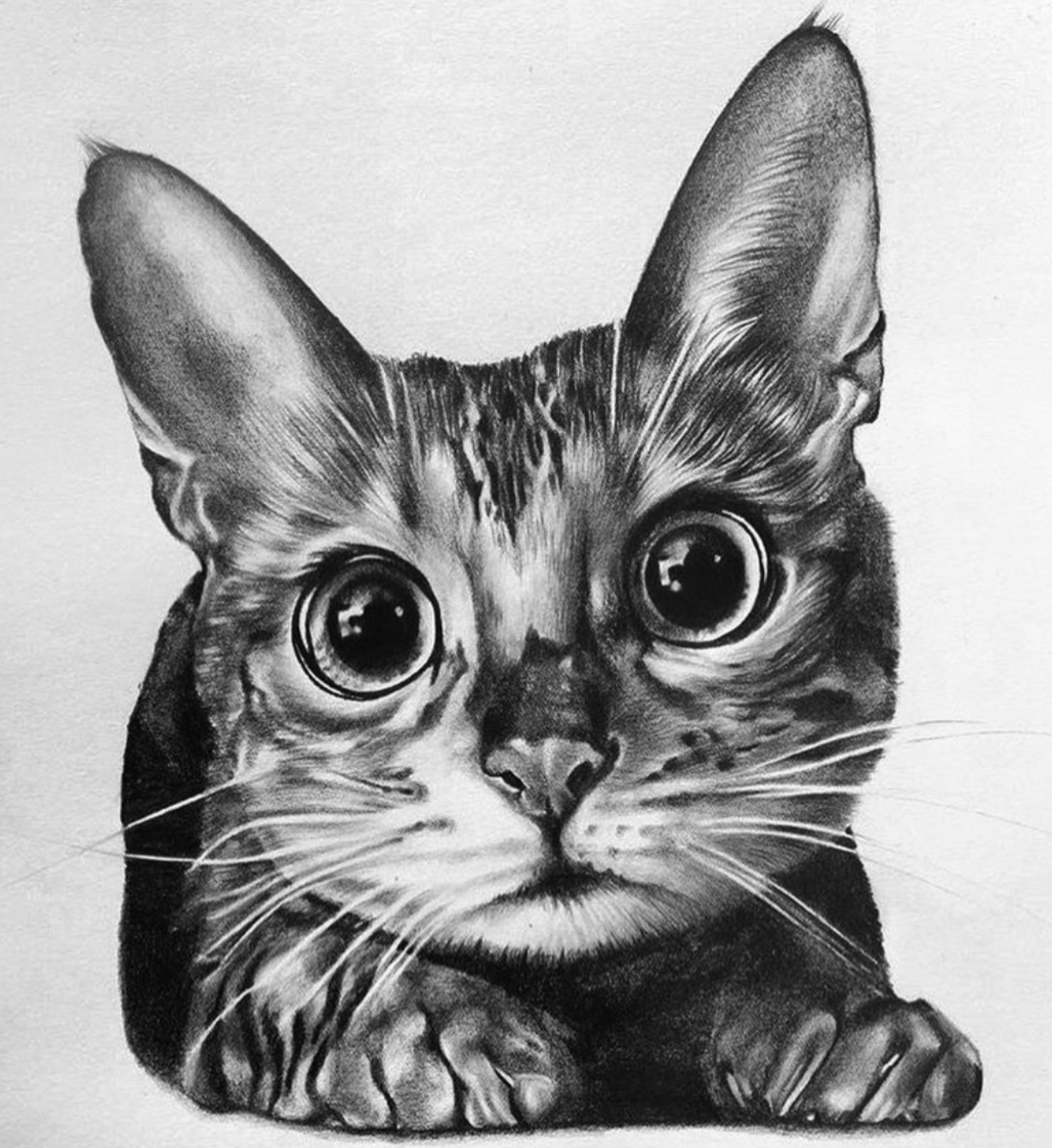 C93DF18A-0A8F-455C-9491-9F0C6FD59A1F